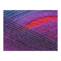 King Cole Riot Knitting Yarn DK 240 Rhapsody