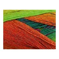 King Cole Riot Knitting Yarn DK ...