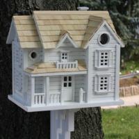 kingsgate cottage bird house