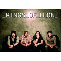 Kings Of Leon Kol Sitting Band Picture Group Photograph Postcard