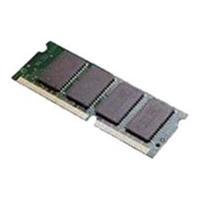 Kingston 1GB Module