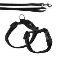 Kitten Harness with Lead - Black