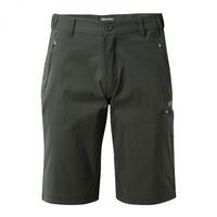 Kiwi Pro Long Short Dark Lead