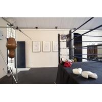 KickStudio
