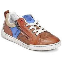 kickers winchester boyss childrens shoes trainers in brown