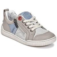 kickers winchester boyss childrens shoes trainers in grey