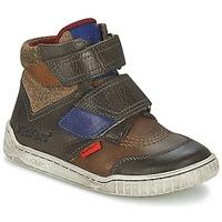 kickers winsor boyss childrens shoes high top trainers in brown