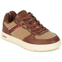 kickers gravity boyss childrens shoes trainers in brown