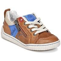 kickers winchester boyss childrens shoes trainers in brown