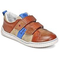 kickers winner boyss childrens shoes trainers in brown