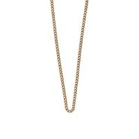 Kirstin Ash Necklace Chain 16\