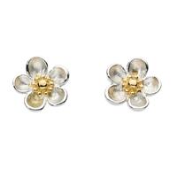 Kit Heath Silver 18ct Gold Plated Rose Stud 30305GD012