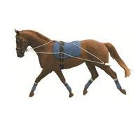 Kincade Lunging Training System ...