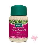 kneipp muscle soother bath salts 500 g 1 x 500g