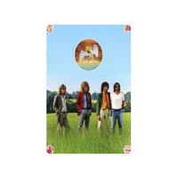 Knebworth (Led Zeppelin) By Storm Thorgerson, Aubrey Powell 