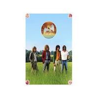 knebworth led zeppelin by storm thorgerson aubrey powell