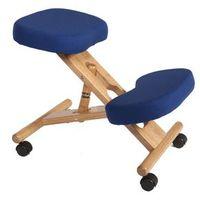 kneeling chair blue 