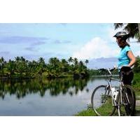 Kochi Bike Tour and Backwaters Cruise