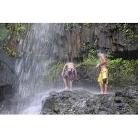 Kohala Waterfalls Small Group Adventure Tour