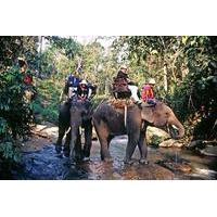 Koh Samui Full Day Mountain Safari and Elephant Trek