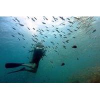 Koh Chang Dive Trip Including 2 Dives
