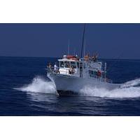 Kona Sport-Fishing Private Large Group Charter Half Day