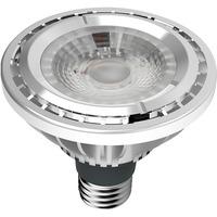 Kosnic 15W Ktc LED Par38