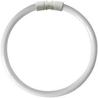 kosnic t5 circular tube 40w cool white