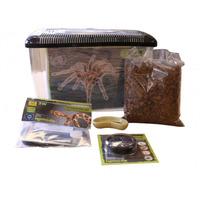 Komodo Basic Spider Kit