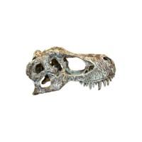 Komodo T-Rex Skull Small