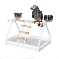 Kookaburra Parrot Play Top