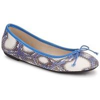 Koah GAME women\'s Shoes (Pumps / Ballerinas) in blue