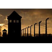Krakow Super Saver: Auschwitz-Birkenau Half-Day Tour plus Wieliczka Salt Mine Half-Day Tour