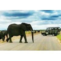 Kruger National Park Full-Day Safari from Hazyview