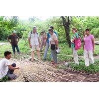 Kratie Classic Lifestyle Day Trip Including Dolphin Cruise