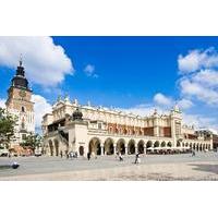 Krakow in a Day: 3-Hour City Tour by Electric Car
