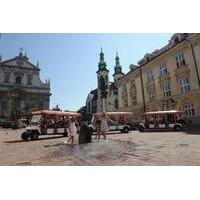 Krakow City Sightseeing Private Tour by Eco Friendly Electric Car With Live Guide
