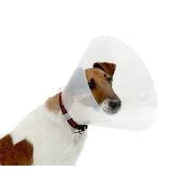 Kruuse Uk Limited Buster Clic Collar Transparent Combi Pack 20Pc