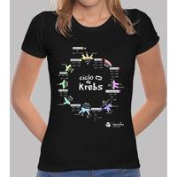 krebs cycle