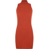 kris ribbed turtle neck mini dress rust