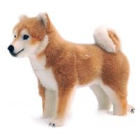 Kösener Shiba Inu - Dog