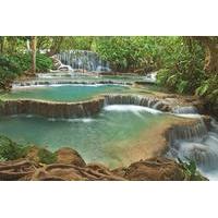 kuang si falls chicken and bamboo sticky rice picnic full day tour joi ...