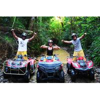 Kuranda Australian Bushland ATV or Argo Tour