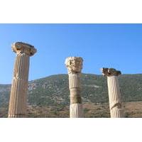 Kusadasi Shore Excursion: Private Half-Day Tour to Ephesus Including the Temple of Artemis and ?irince