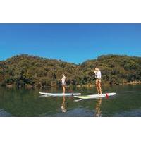 ku ring gai chase national park stand up paddleboard tour