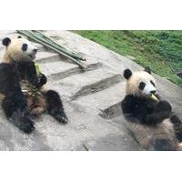 Kung Fu Panda 3 Temple Tour