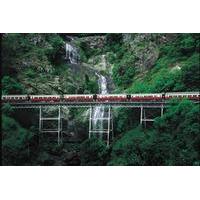 kuranda village day trip from cairns with optional scenic railway and  ...