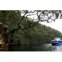 Ku-ring-gai Chase National Park Day Trip from Sydney