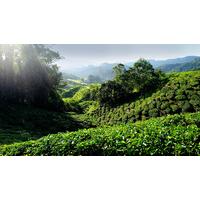 Kuala Lumpur to Bangkok Adventur...