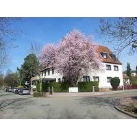 Kurhotel Feldberg